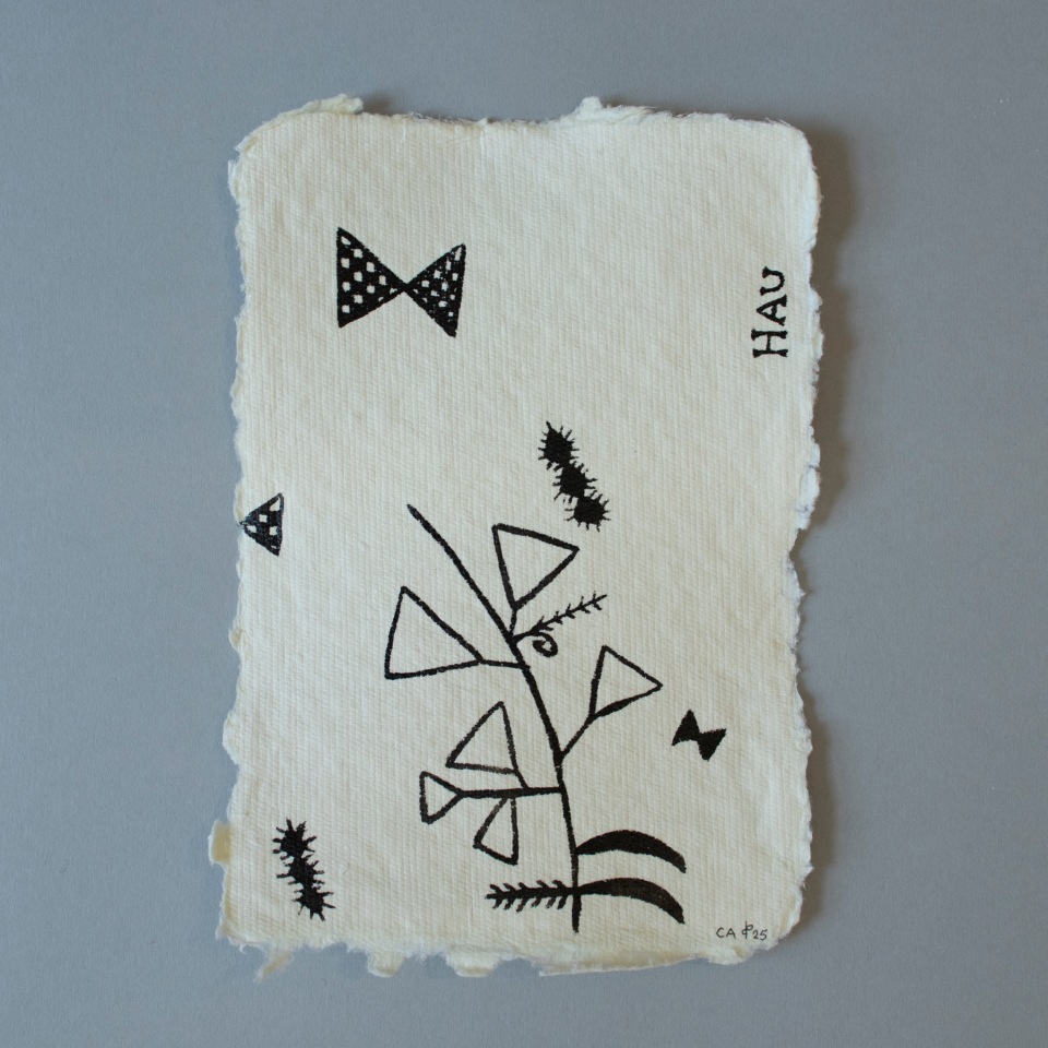 Cora-Allan, Tagaloa VII, 2025