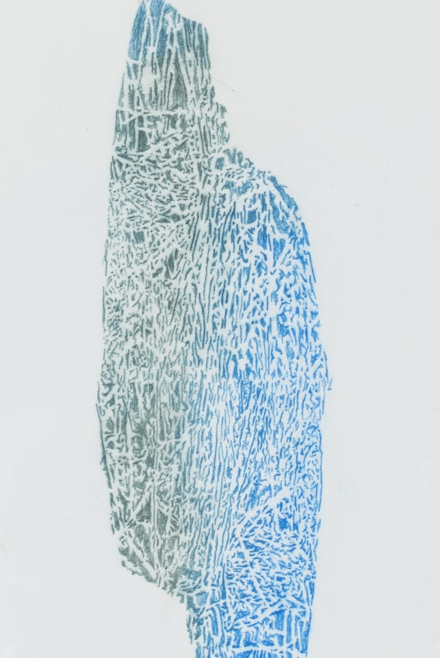 Fiona Van Oyen, Encase, 2023