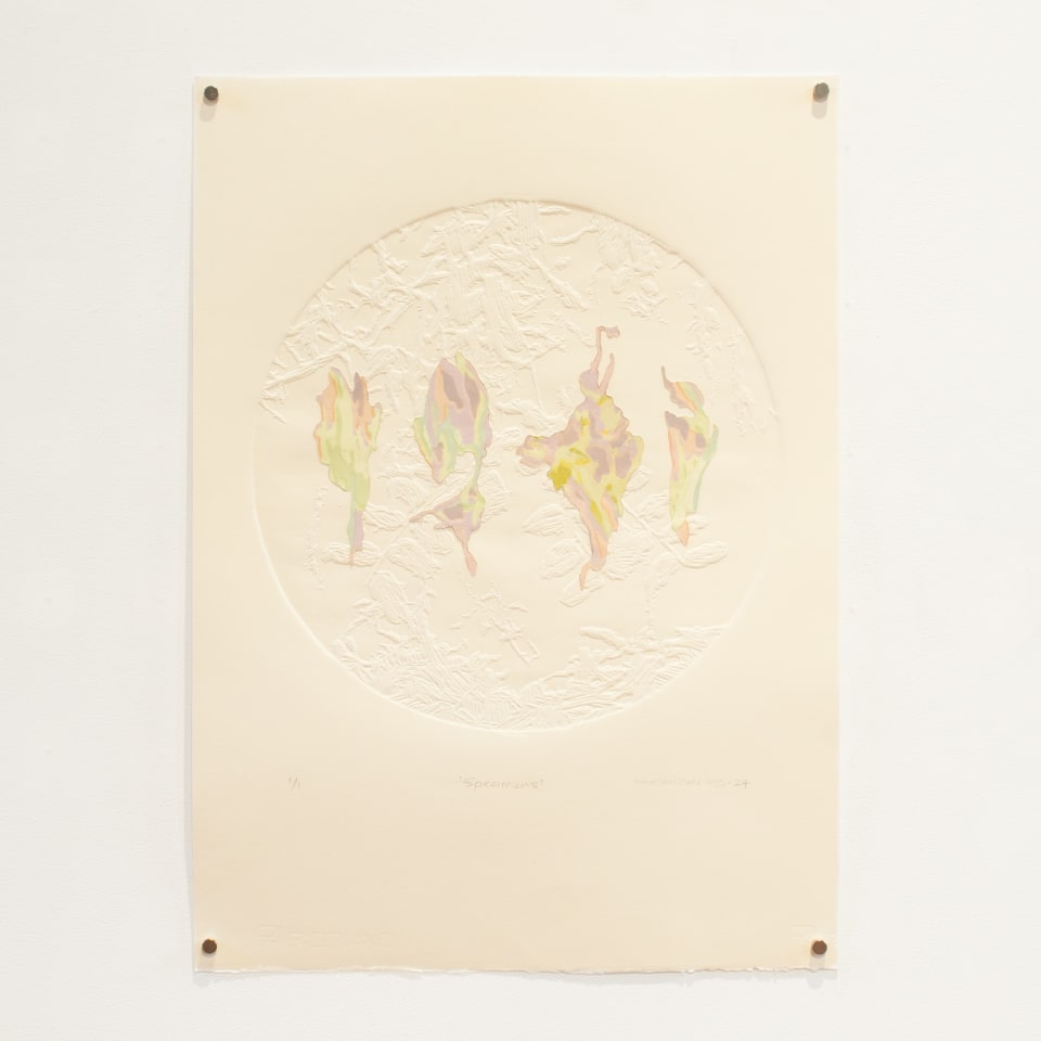 Fiona Van Oyen, Specimens, 2013-24