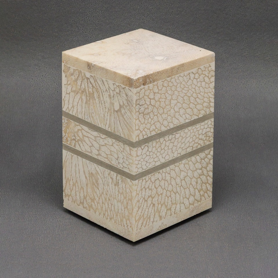 Chauncey Flay, Seawall #38, 2024