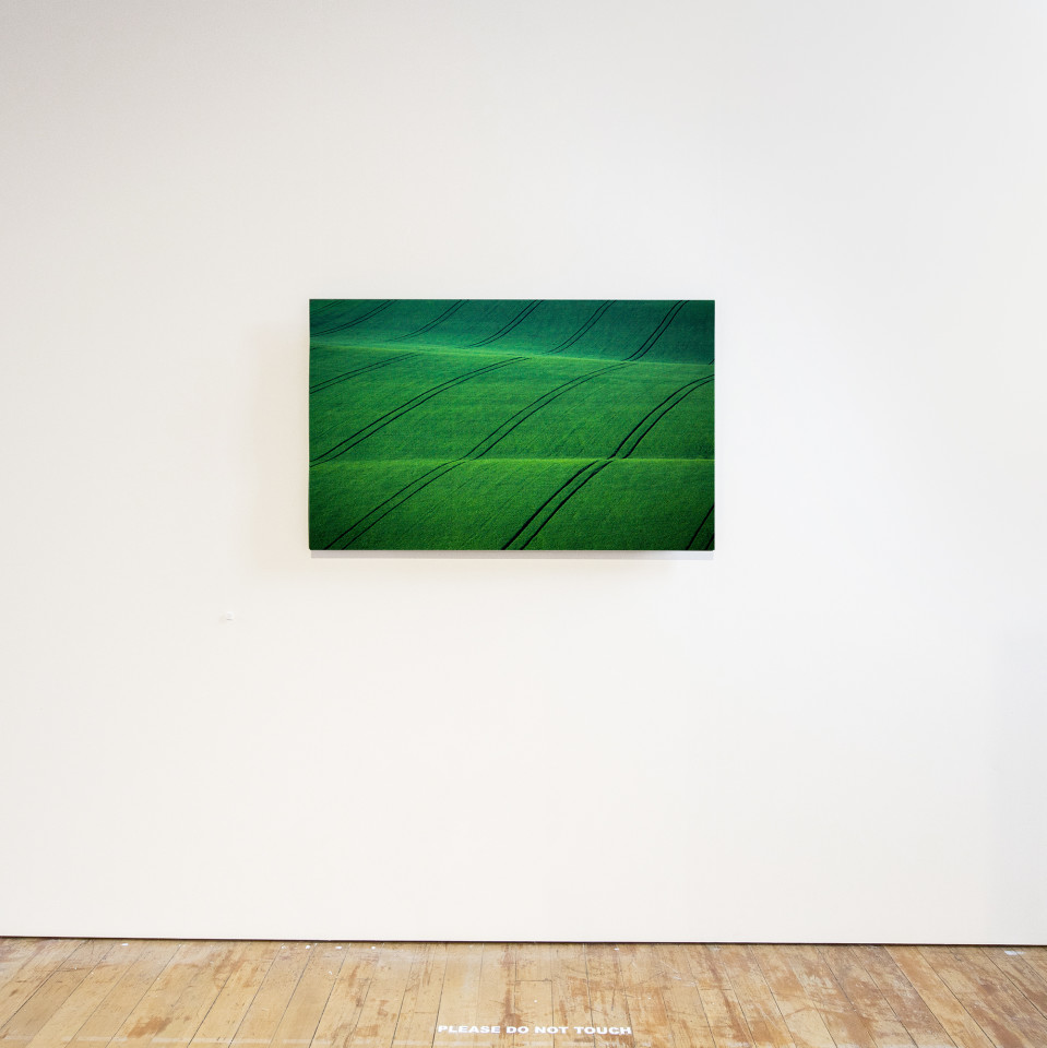 Elizabeth Thomson, Green Sees Things in Waves, 2018