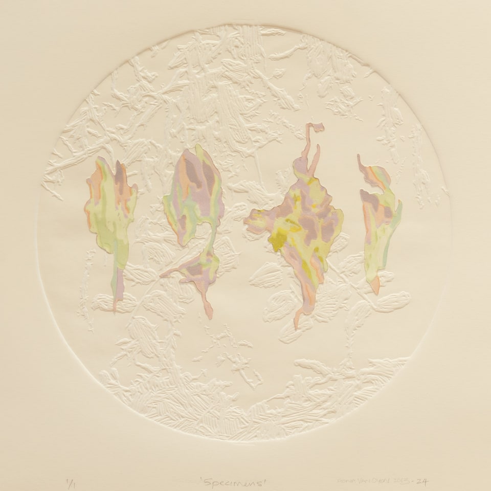 Fiona Van Oyen, Specimens, 2013-24