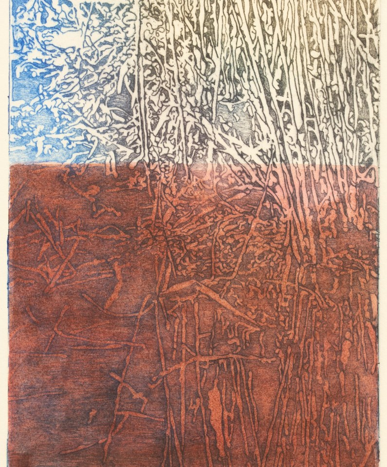 Fiona Van Oyen, Wetland I, 2024