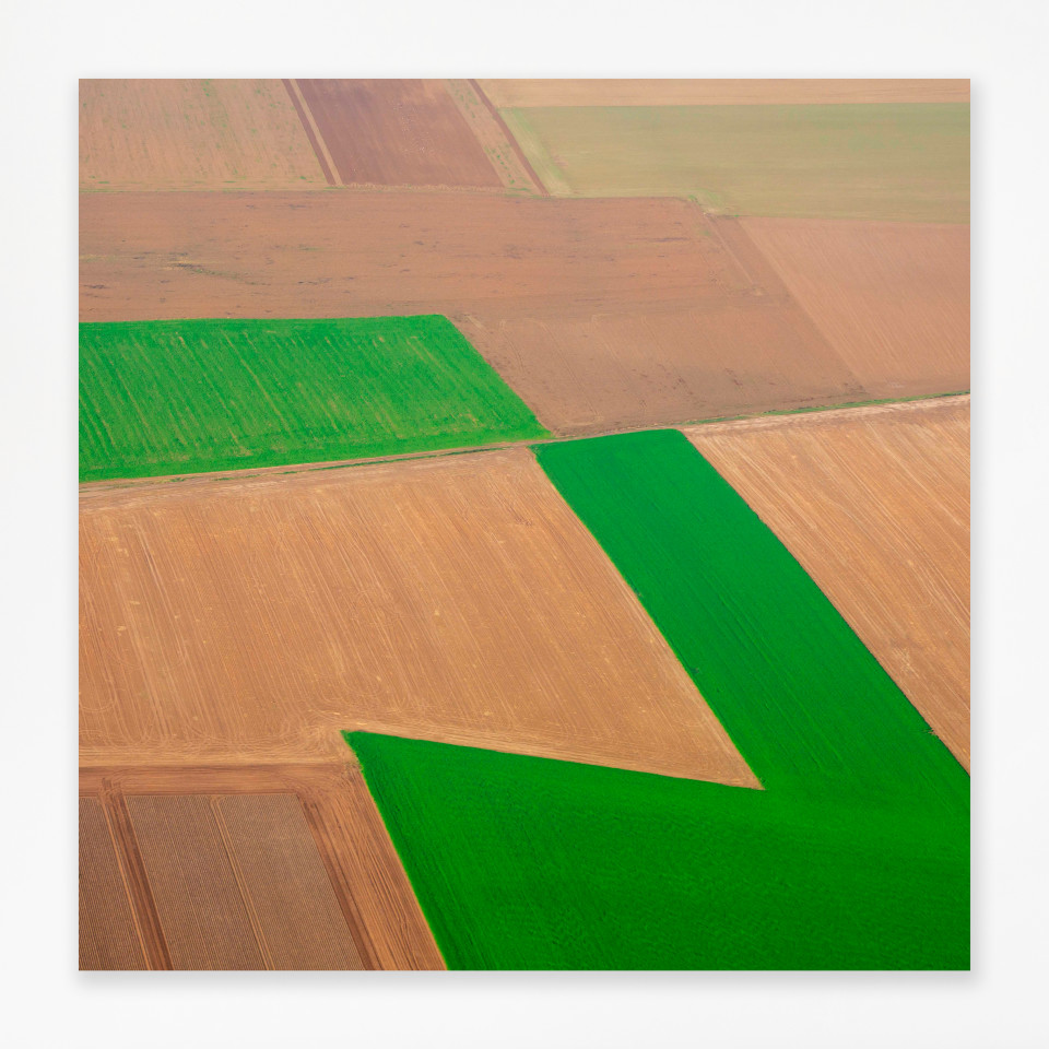 Elizabeth Thomson, Out on the plain - Encounter with cubism and green shape, 2020