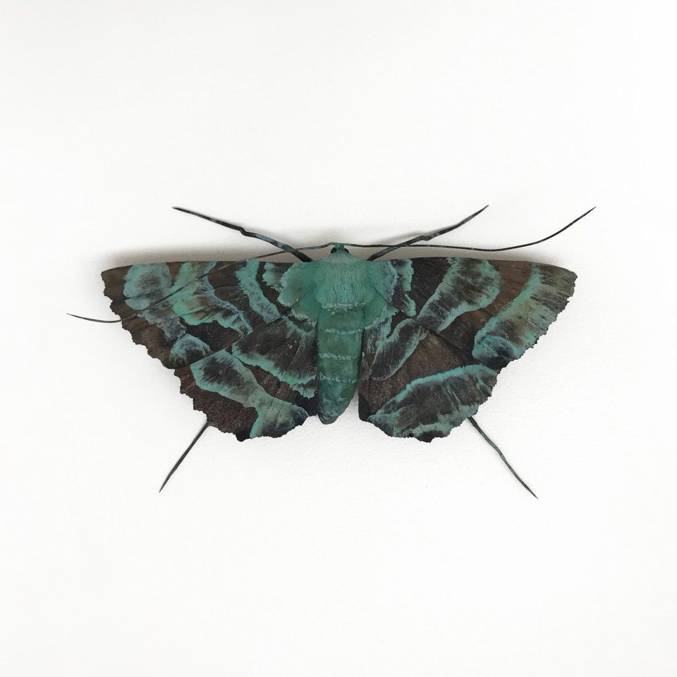 Elizabeth Thomson, Patina Moth 2, 2018