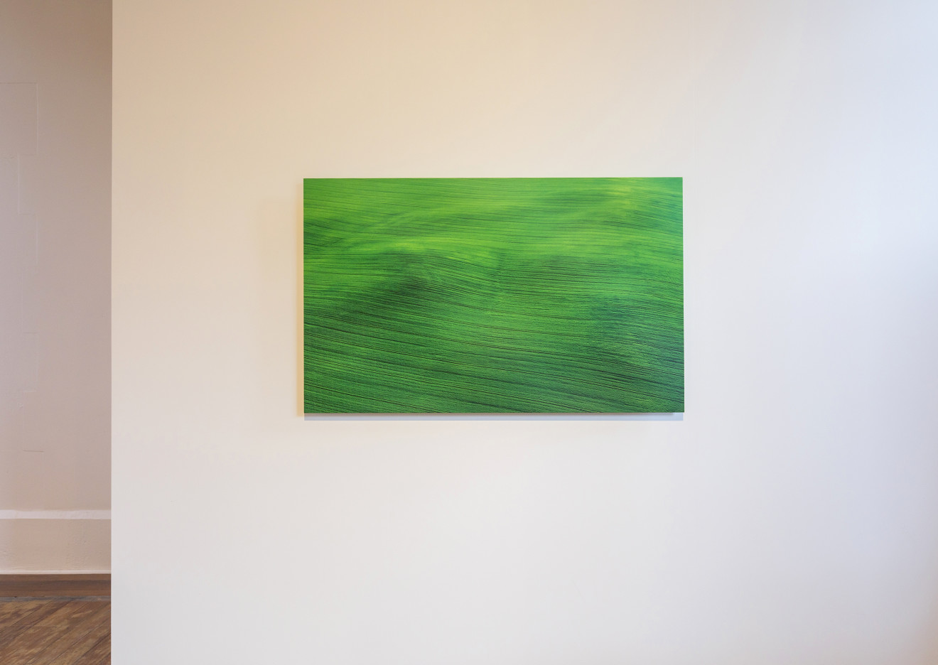 Elizabeth Thomson, Green Just Lies There Awhile Breathing, Long Slow Breaths, 2019