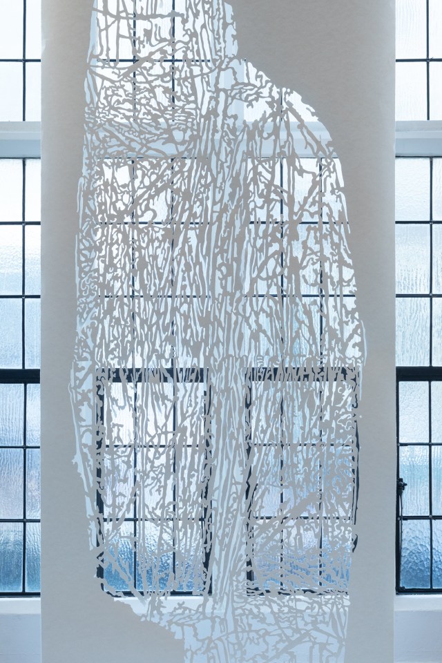 Fiona Van Oyen, Uncover, 2023-24