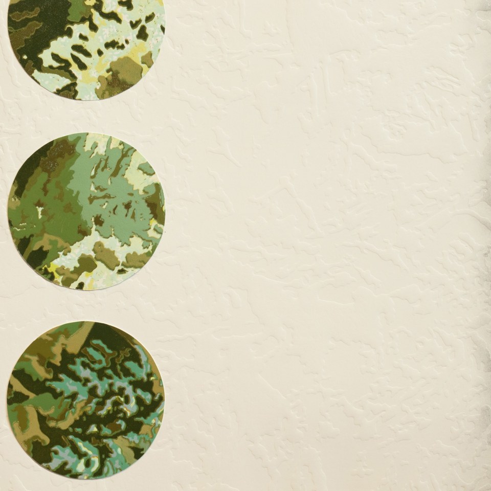 Fiona Van Oyen, Flow, 2025