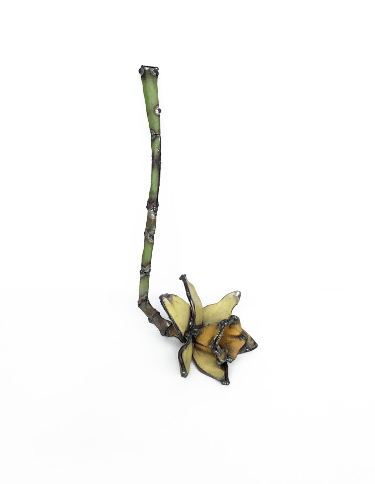 Hannah Kidd, Daffodil #1, 2017