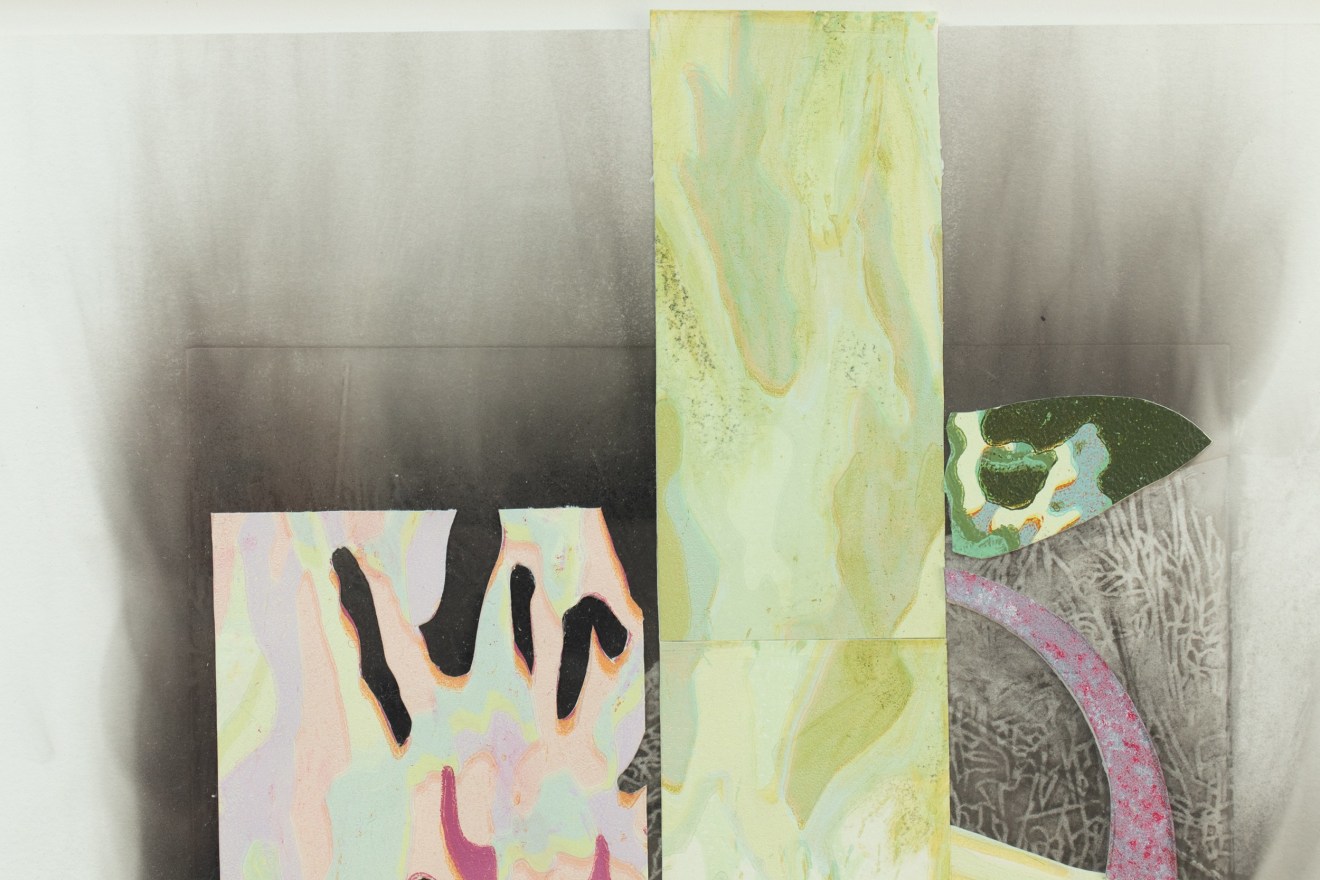 Fiona Van Oyen, Changing landscapes, 2024