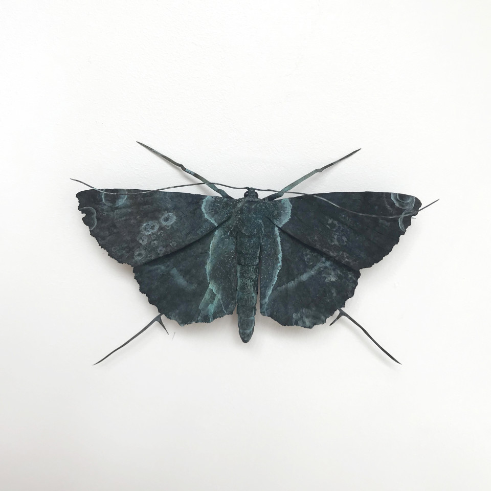Elizabeth Thomson, Patina Moth 3, 2018