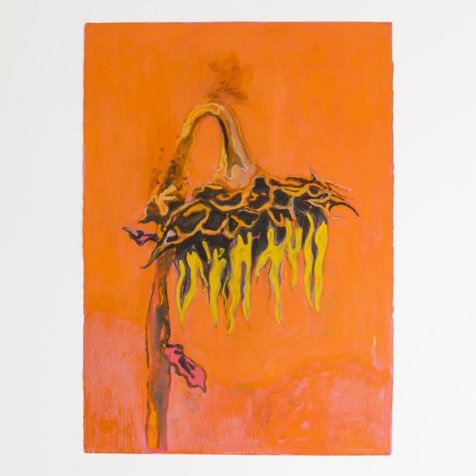 Pete Wheeler, Blume (study), 2024