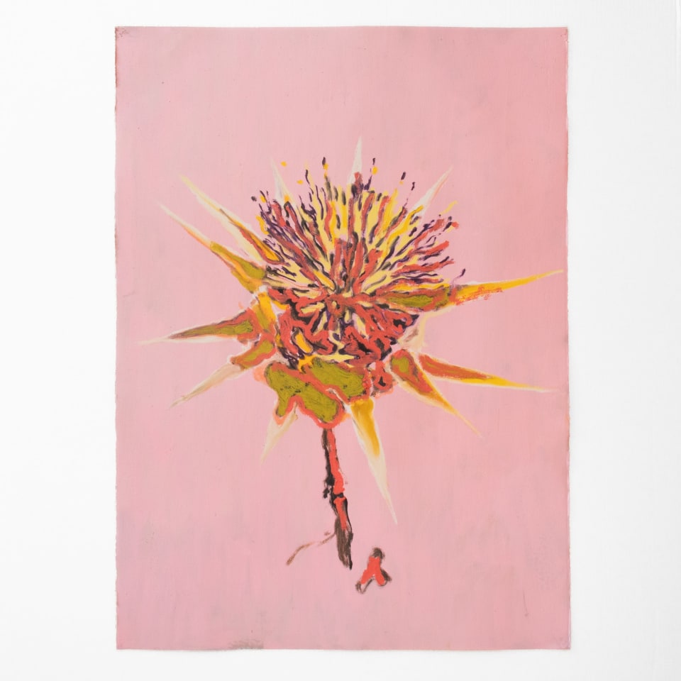 Pete Wheeler, Thistle (study), 2024