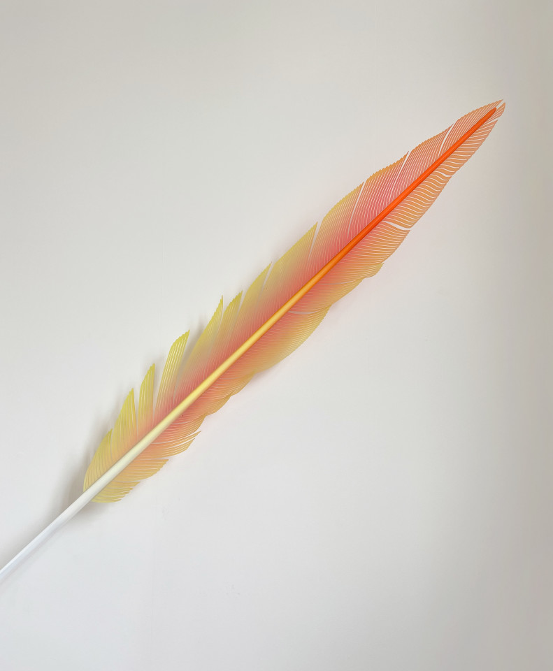 Neil Dawson, Macaw Tail Feather Red, 2019