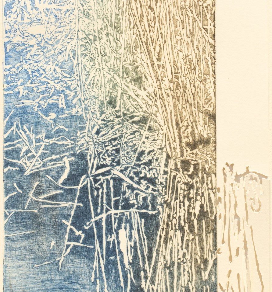 Fiona Van Oyen, Wetland III, 2024