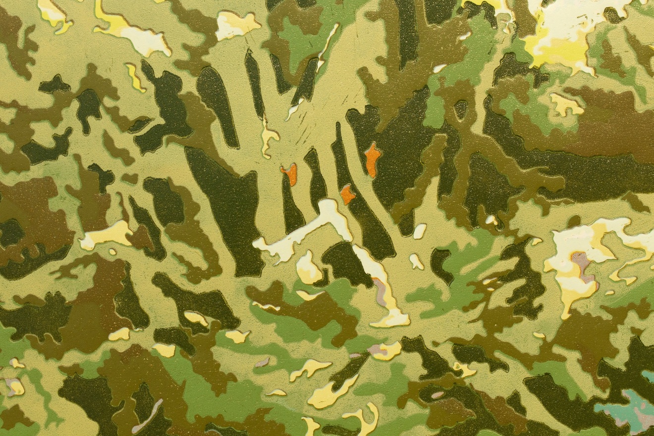 Fiona Van Oyen, Beneath the surface, 2024