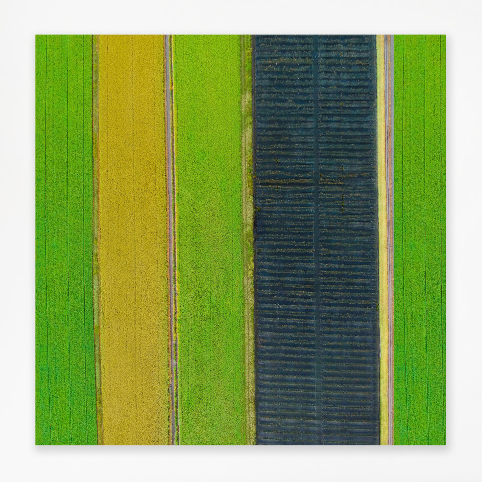 Elizabeth Thomson, Green intervals out on the plain, 2020