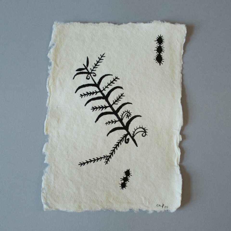 Cora-Allan, Tagaloa VI, 2025