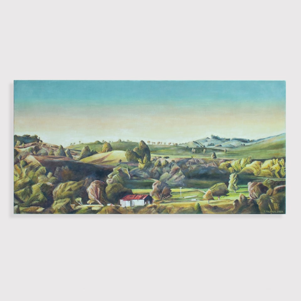 Stanley Palmer, Across Rangitaiki Gorge, 2020