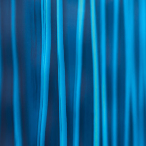 Elizabeth Thomson, Kind of Blue (diptych), 2015