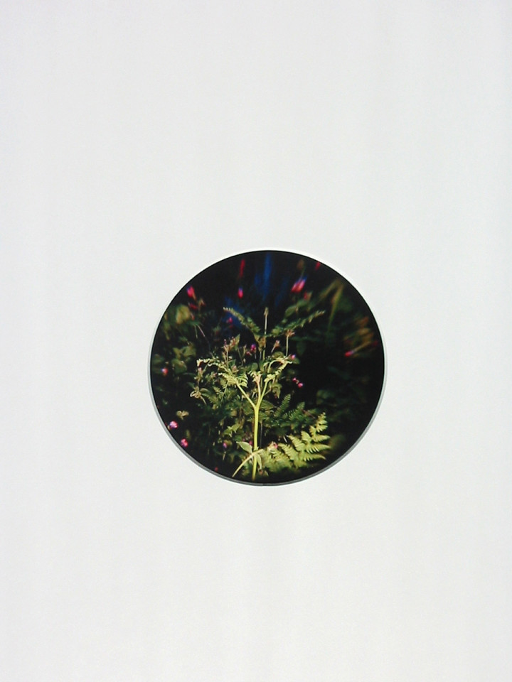 Nathan Pohio, Once Found There, 2008