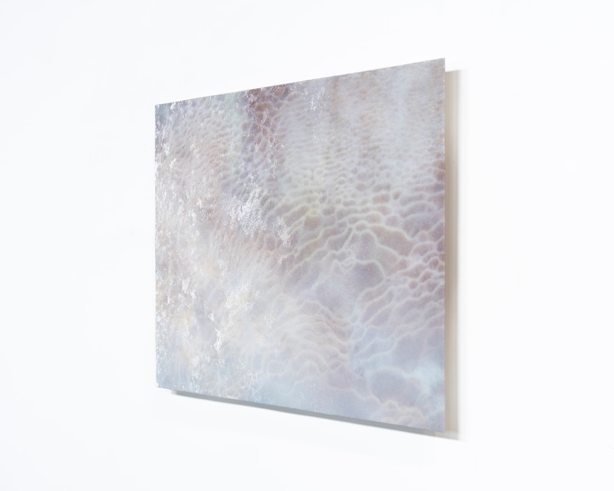 Elizabeth Thomson, Tatio XII, 2017