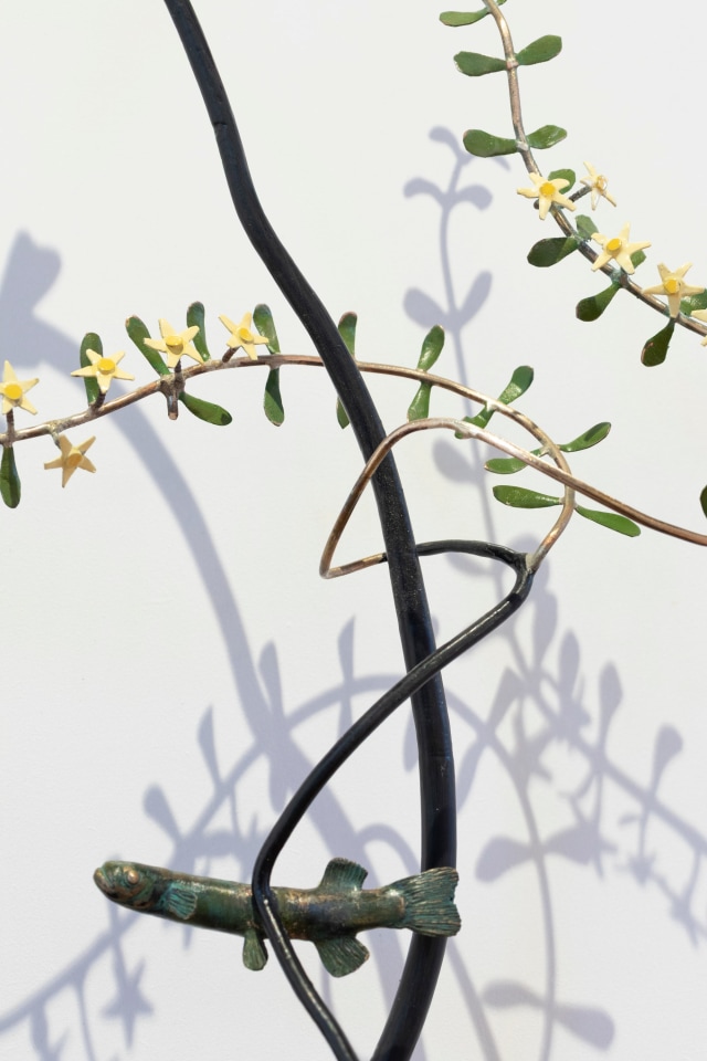 Bing Dawe, Flourish, 2025