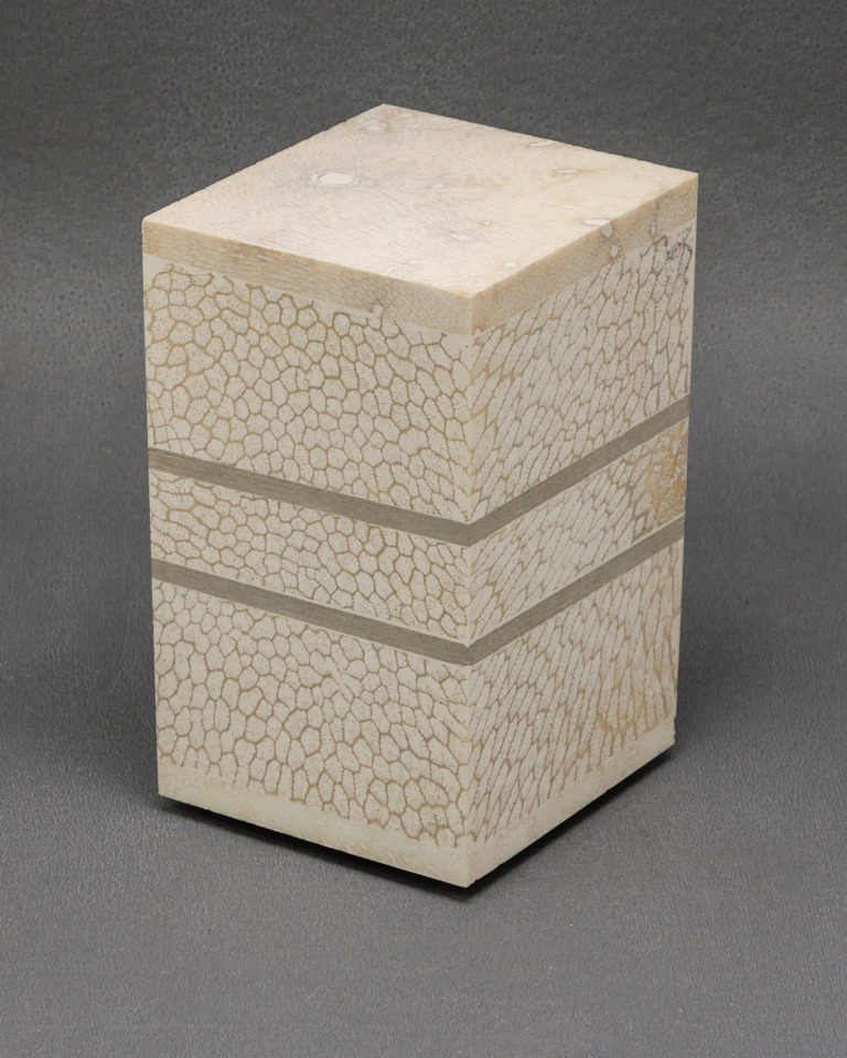 Chauncey Flay, Seawall #38, 2024