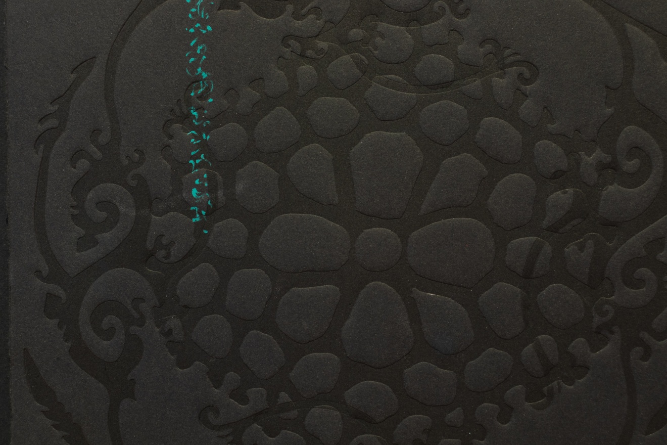 Kim Lowe, Te Pō - Nature-Culture, 2024