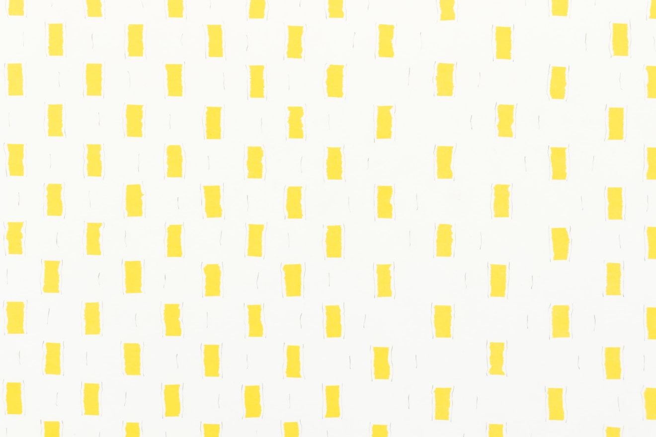 Veronica Herber, We See Beyond, 2025