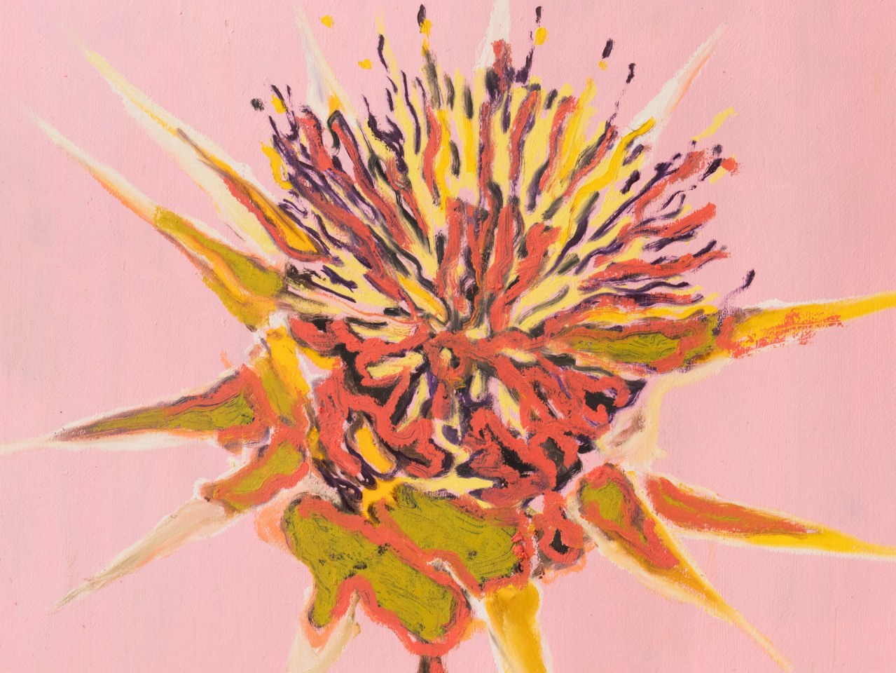 Pete Wheeler, Thistle (study), 2024