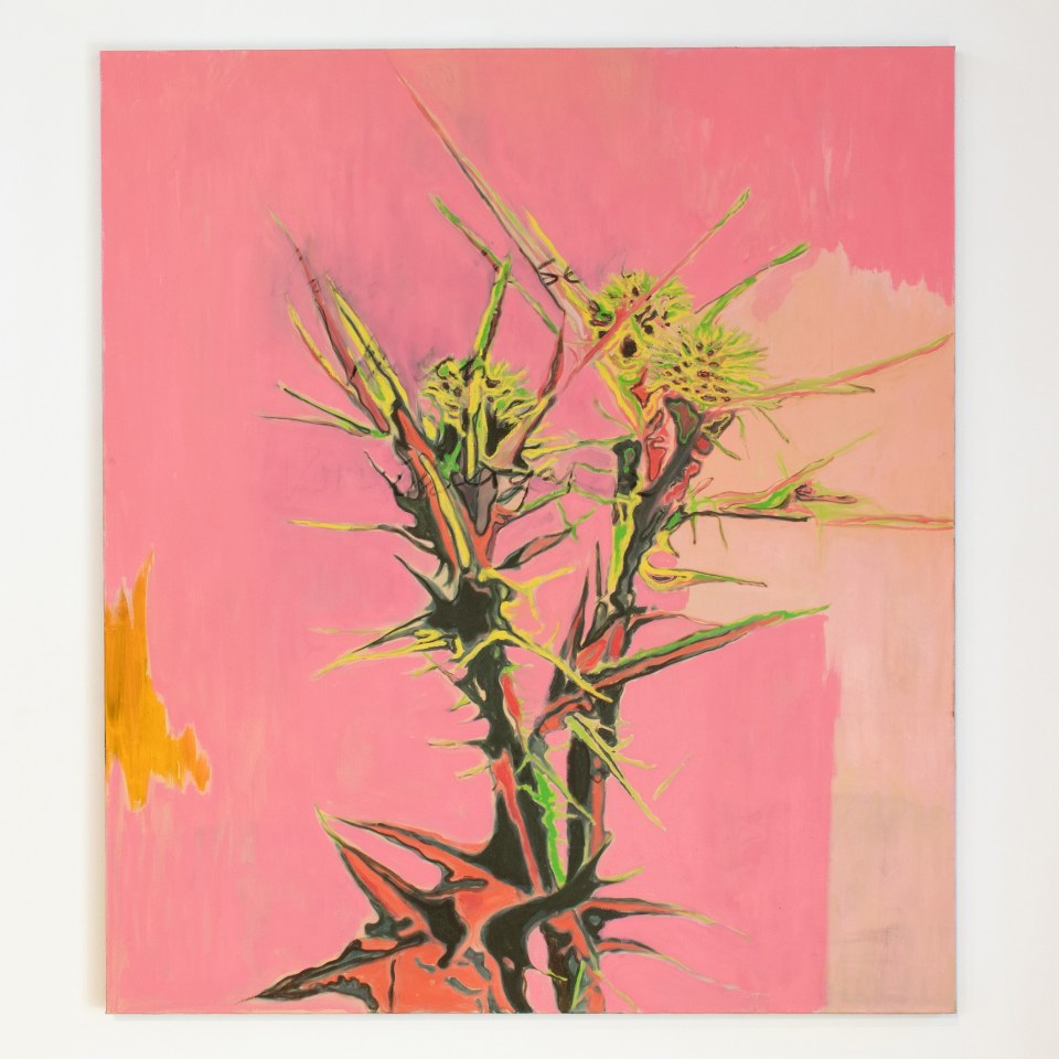 Pete Wheeler, Clyfford's Thistle, 2024