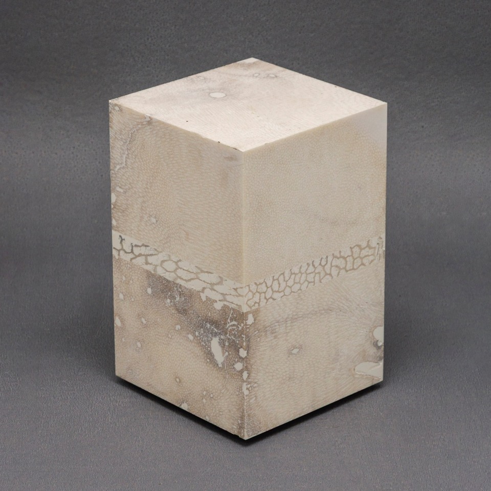 Chauncey Flay, Seawall #58, 2024