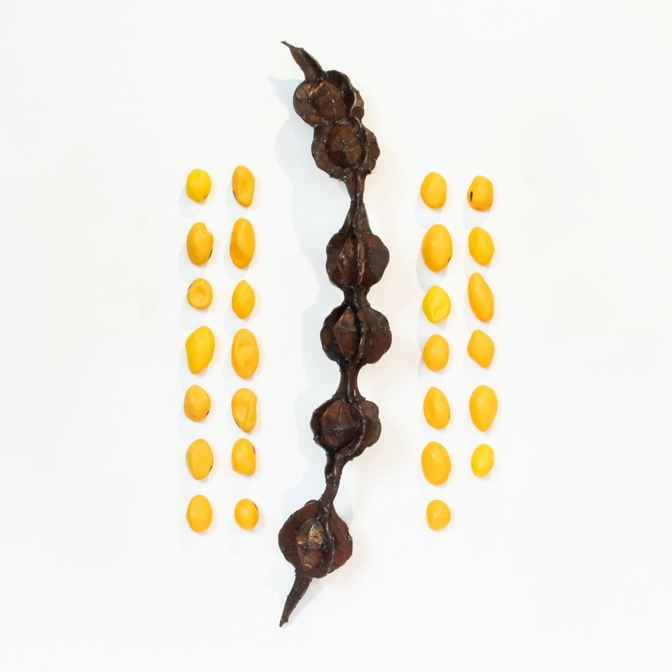 Hannah Kidd, Kākano Rua (Takitoru), 2023-2024