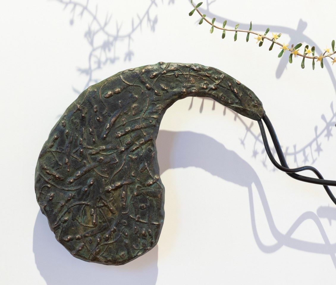 Bing Dawe, Flourish, 2025