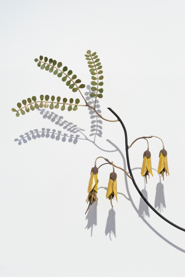 Bing Dawe, Sharing the Dry - Mudfish under Branches Kōwhai, 2025