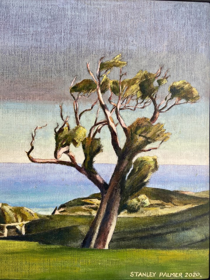 Stanley Palmer, Study for Akeake - Chatham Islands, 2020