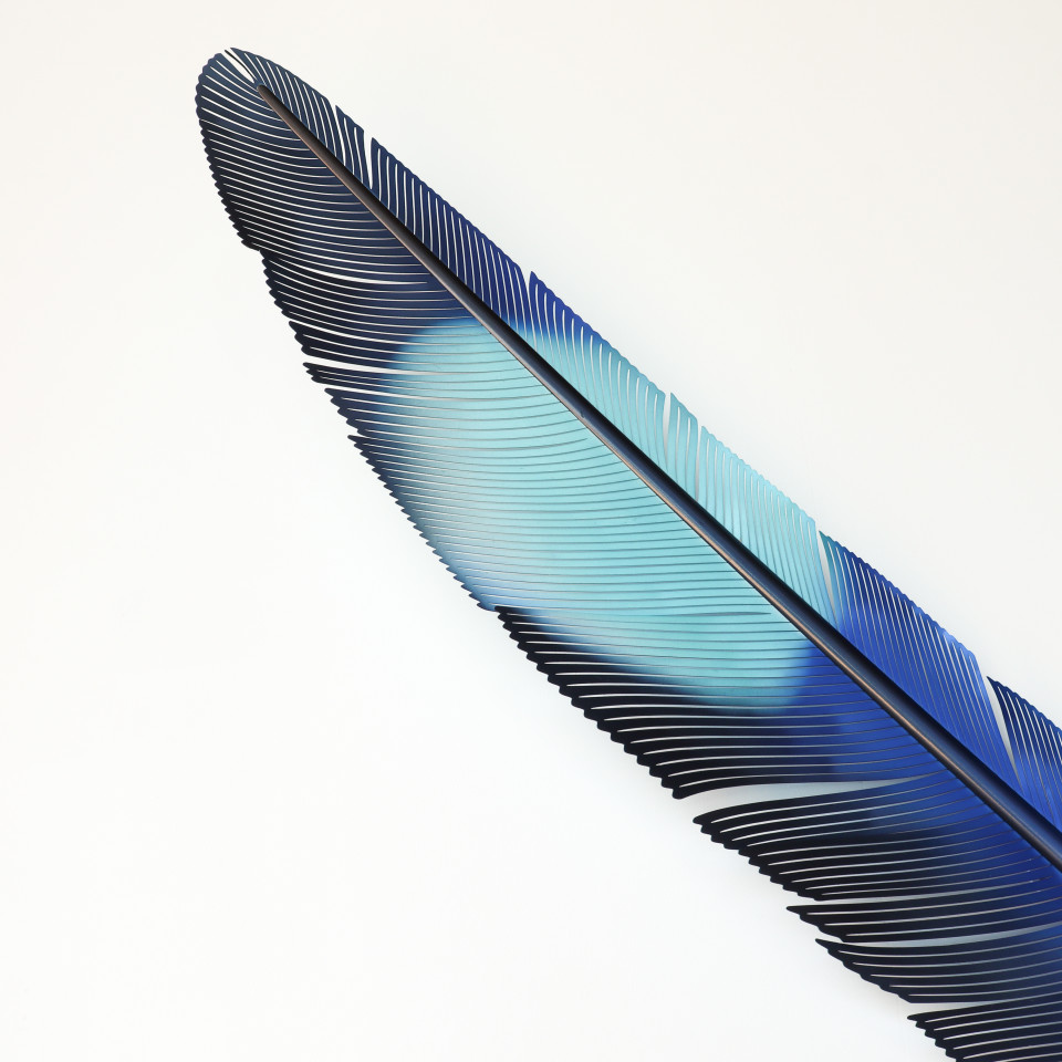 Neil Dawson, Kōtare Wing Feather, 2020