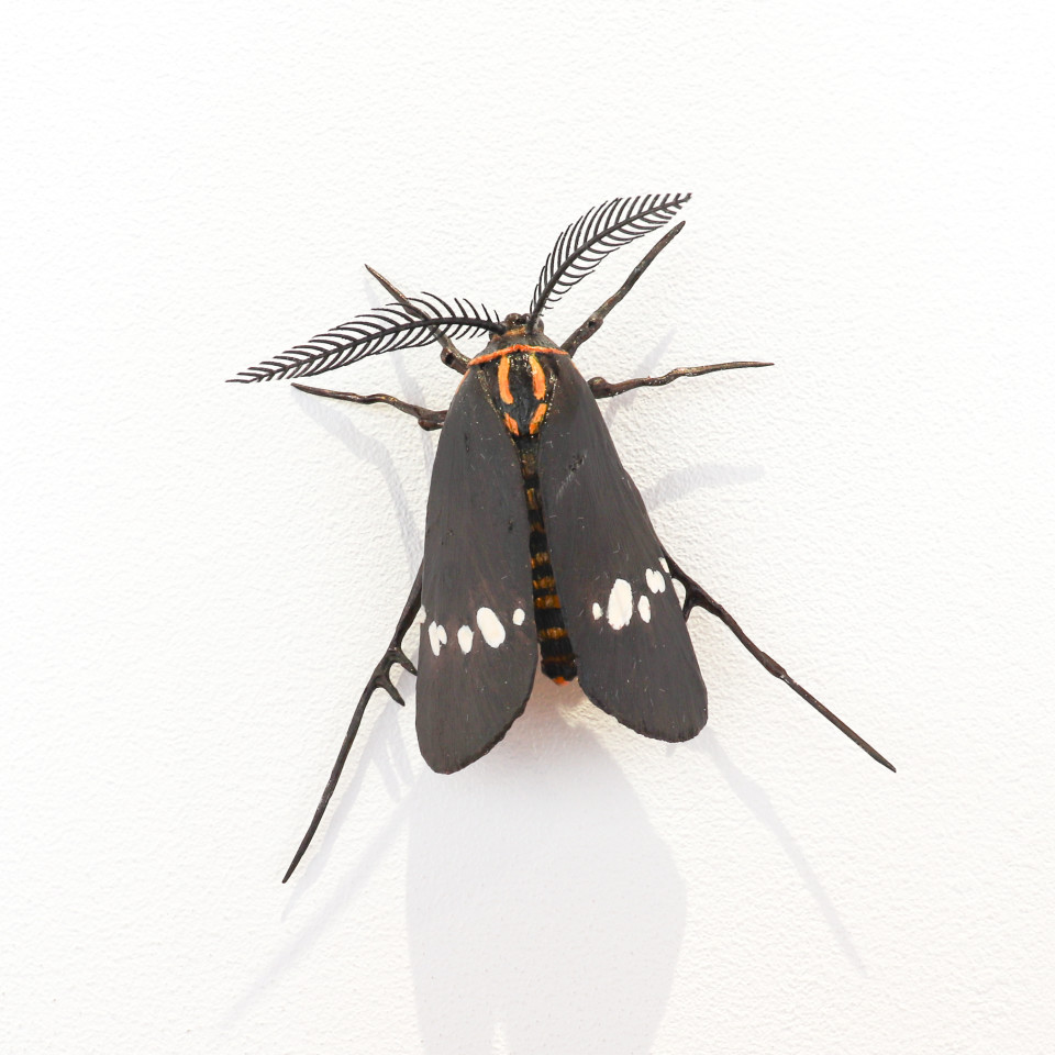 Elizabeth Thomson, Moth #26, 2020