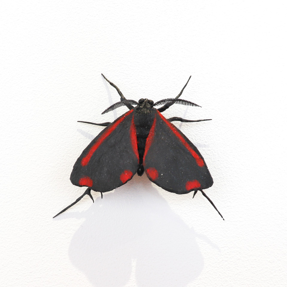 Elizabeth Thomson, Moth #40, 2020