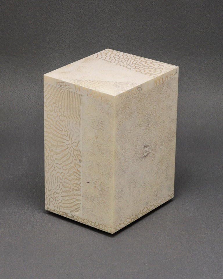 Chauncey Flay, Seawall #41, 2024
