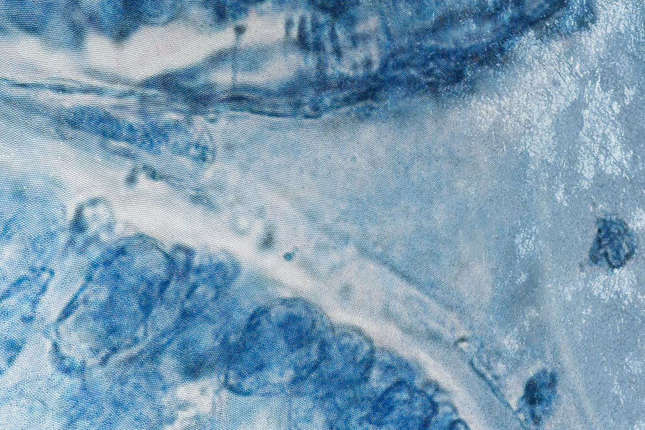 Elizabeth Thomson, Ocean of Eden, topographical study for the Aviatrix (diptych), 2012