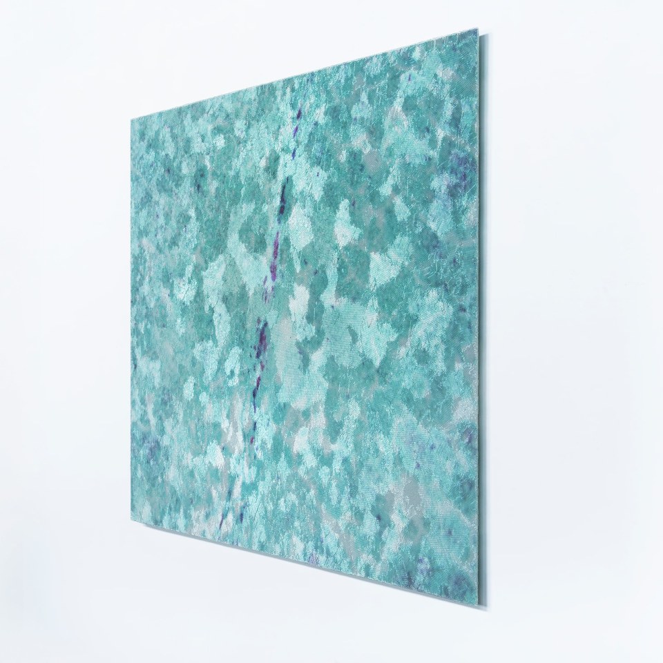 Elizabeth Thomson, Delta, 2009