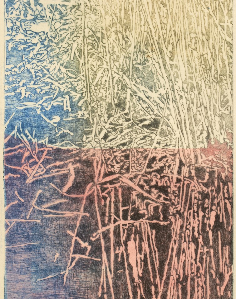 Fiona Van Oyen, Wetland II, 2024