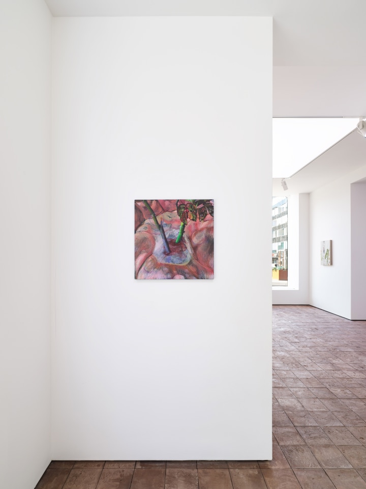 Disrupted Harmony, curated by Edoardo Monti