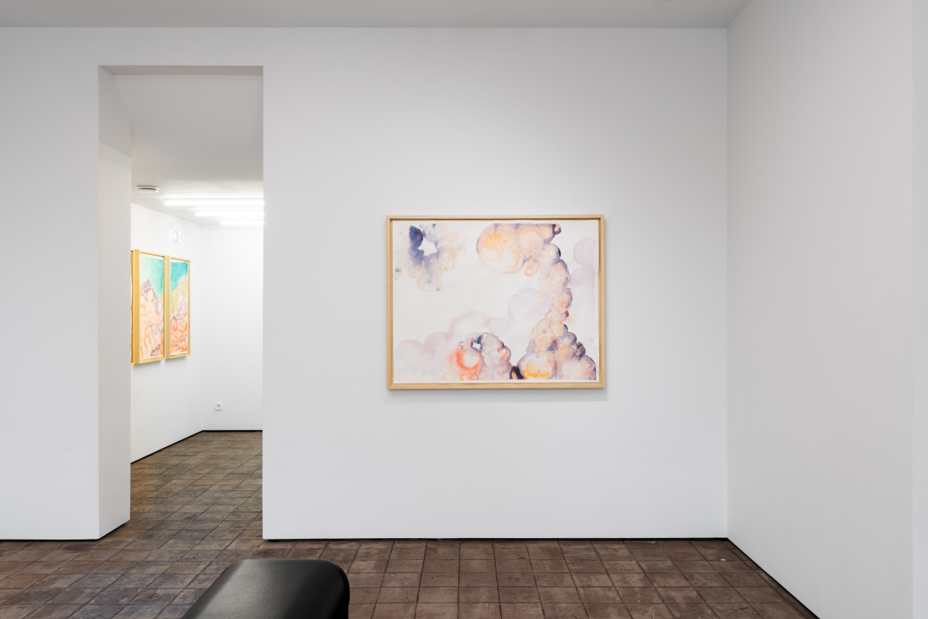 Imaginarium, curated by Silvana Lagos