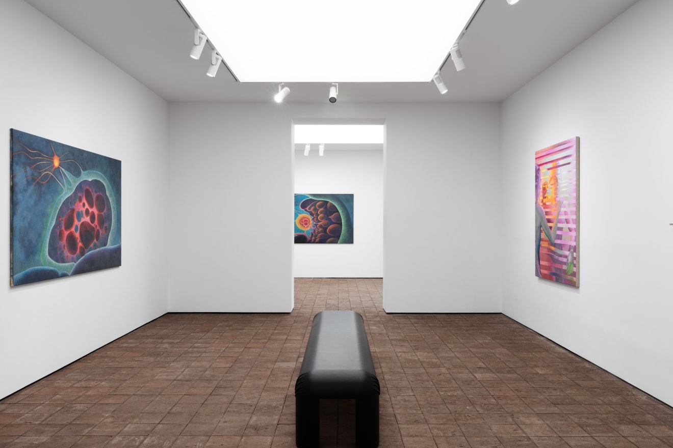 Imaginarium, curated by Silvana Lagos