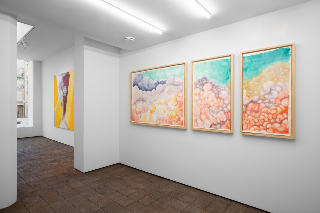 Imaginarium, curated by Silvana Lagos