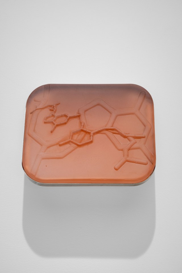 Imaginarium, curated by Silvana Lagos