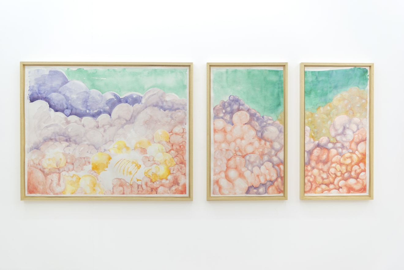 Imaginarium, curated by Silvana Lagos